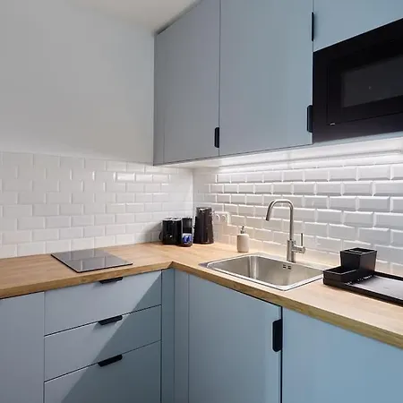 Elegant 2 Climatise - Champs-elysees Daire Paris